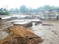 8519 1685570004