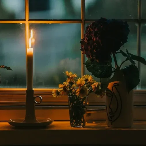 Roxana zerni nsyuljzl5wg unsplash a