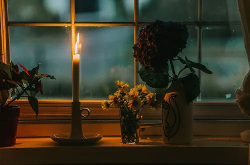 Roxana zerni nsyuljzl5wg unsplash a